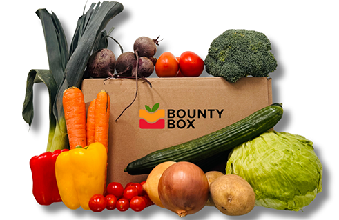 All Veggie Box